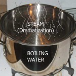 steamer